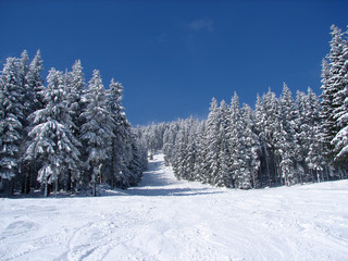 Skipiste
