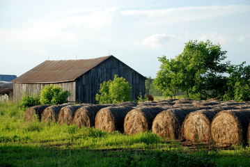 Hay Bales stored outdoor at sunset