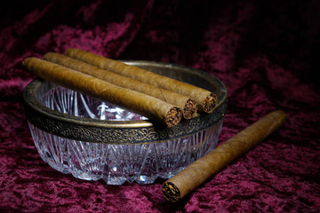 Four cigars on a glass ashtray, crimson velvet background