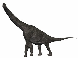 Brachiosaurus-3D Dinosaurier