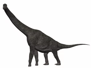 Fototapeten Brachiosaurus-3D Dinosaurier © Andreas Meyer