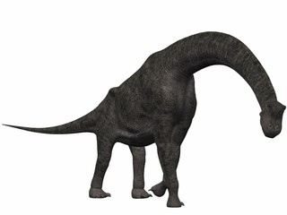 Fototapeta premium Brachiosaurus-3D Dinosaurier