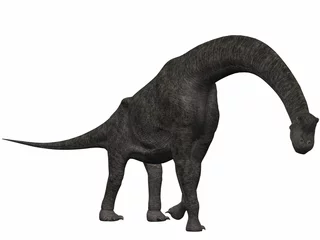 Fototapeten Brachiosaurus-3D Dinosaurier © Andreas Meyer