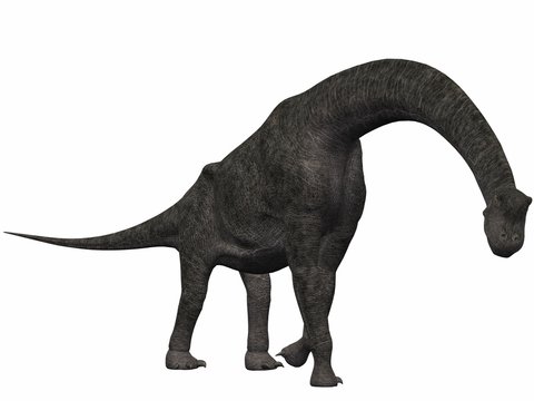 Brachiosaurus-3D Dinosaurier