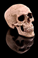 Human skull isolated on black with clear reflection.