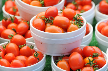 Cherry Tomatoes