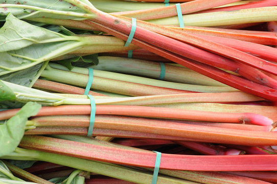 Rhubarb