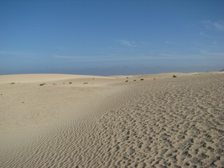 Fototapeta na wymiar horizon de sable