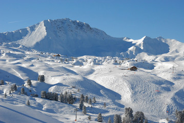 Alpine slopes landscape