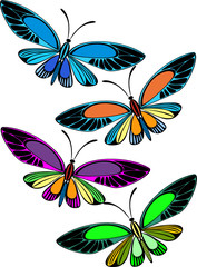 colored butterflies - vector 
