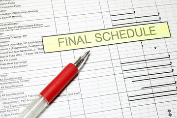 Project Final Schedule