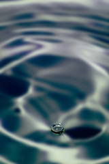 Gota