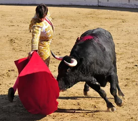 Printed kitchen splashbacks Bullfighting Matador & Bull