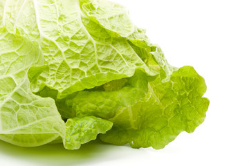 Fresh celery cabbage