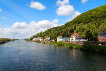 Fototapeta na wymiar Neckar w Heidelbergu