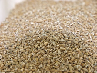 getreideart, roggenschrot