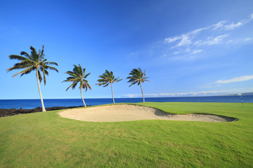 Obraz premium Hawaii Golf Course on Kona Island