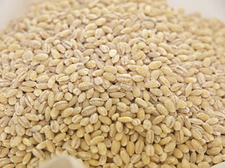 getreideart, gersten, rollgersten, graupen