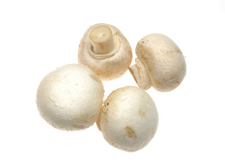 Button mushrooms