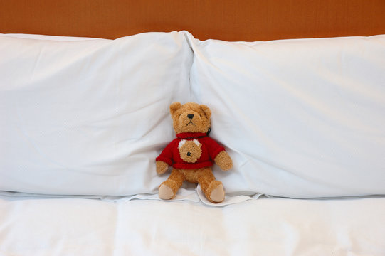 Teddy Bear In Bed