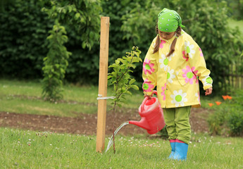 Little girl watering apple tree