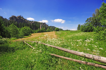 Beautiful summer field in Anderspach, Czech Republic