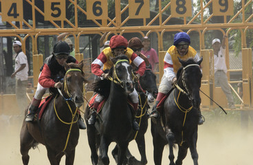 Horse Race