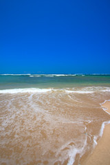 Beautiful beach in summer