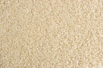 Rice Texture