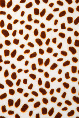 Leopard pattern texture