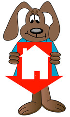 crashing housing market 