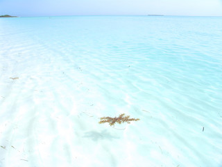 plage des caraibes 3
