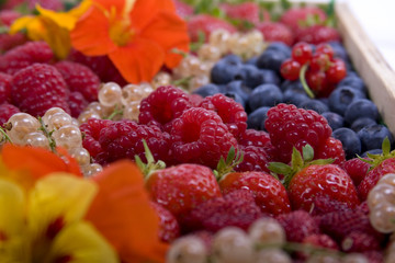Barquettes de fruits rouges