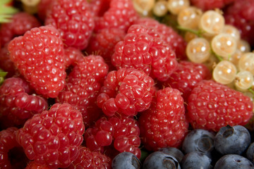 Framboises