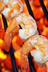 Grilled shrimp closeup