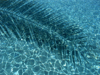 Schatten eines Palmzweiges im Pool