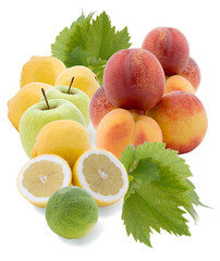 Composizione di Frutta estiva