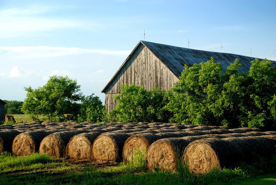 Hay Bales stored outdoor at sunset