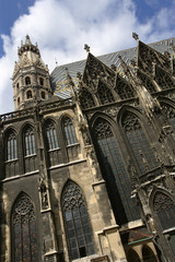 Fototapeta premium St. Stephens cathedral in Vienna