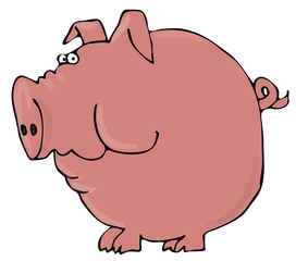 Worried Pig