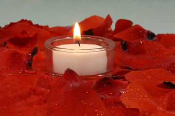 Kerze in Bl&uuml;tenbl&auml;ttern