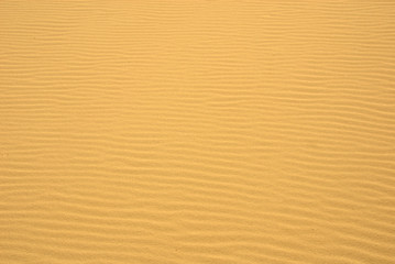 Golden Sand Ripples
