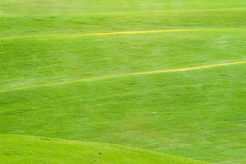 green grass of golf course