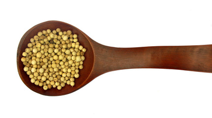 Pepper white peppercorns in wooden spoon