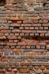 Fototapeta premium The texture of a wall