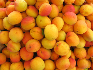 Apricots