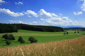 Landschaft im Chiemgau