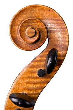 violoncello