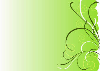 Fototapeta na wymiar background with leaves on green back 