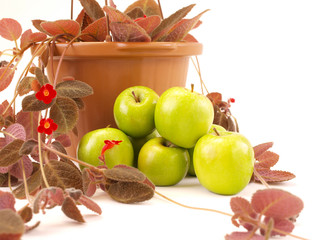 Green Apples Stacked Near Red Flowers & Brown Vase Front View